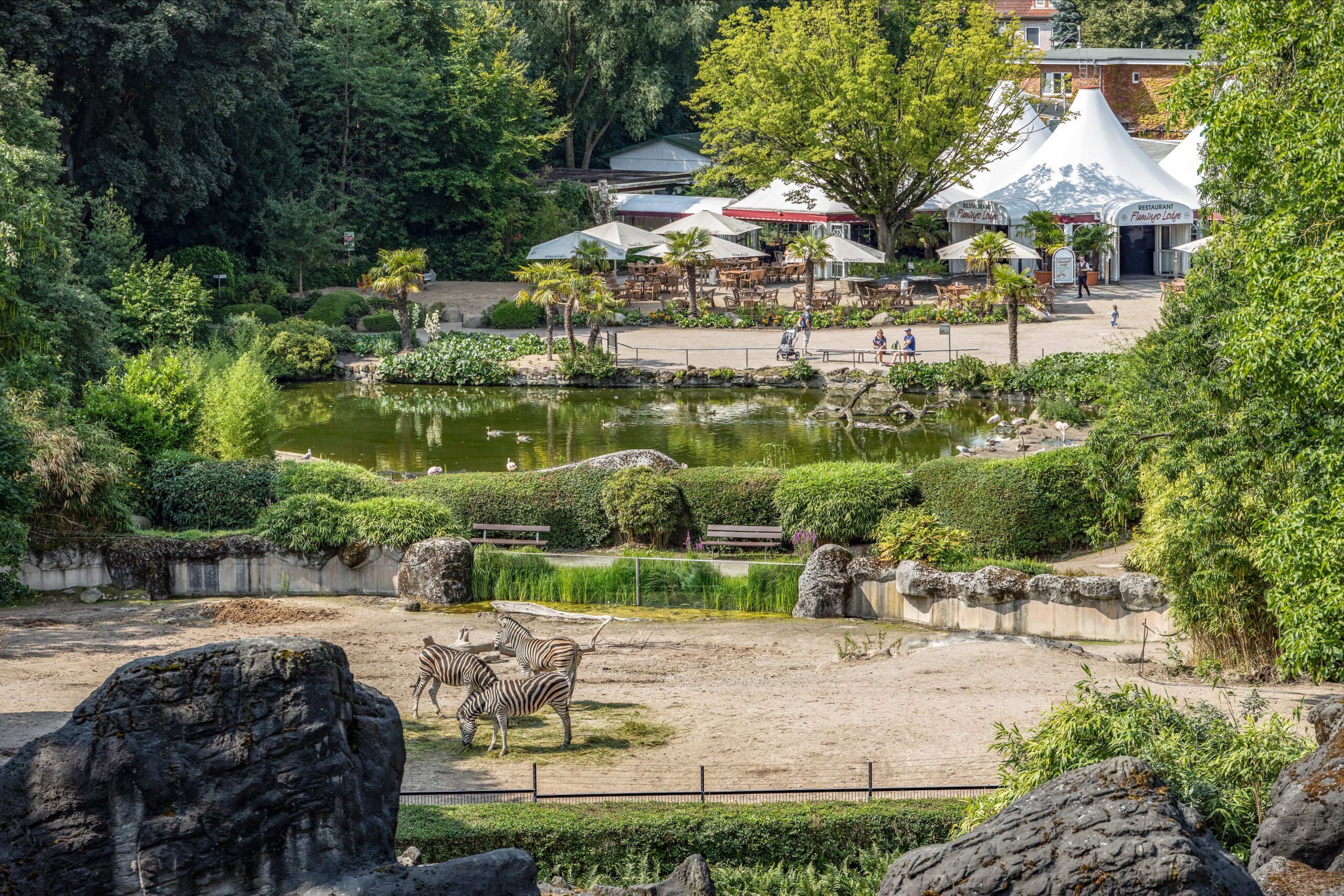 Pete's Page background image